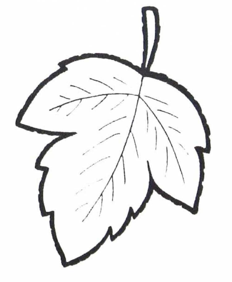 Рисунок листок дерева