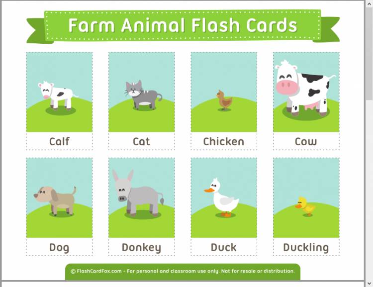 Животные на английском для детей, названия домашних животных с транскрипцией и переводом
