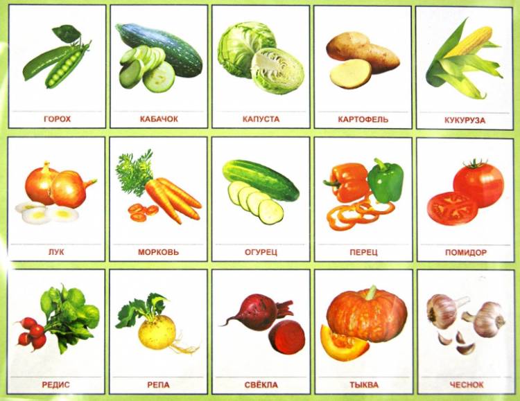 Картинки овощи для детей 