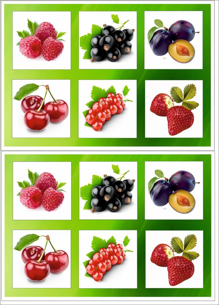 Дидактическая игра-лото Овощи-фрукты-ягоды для детей