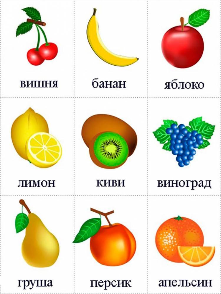 Цветные картинки для детей «Овощи