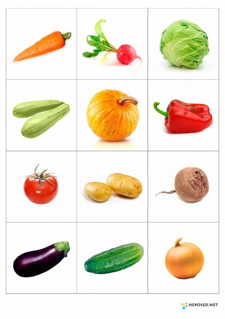Картинки Овощи для детей 