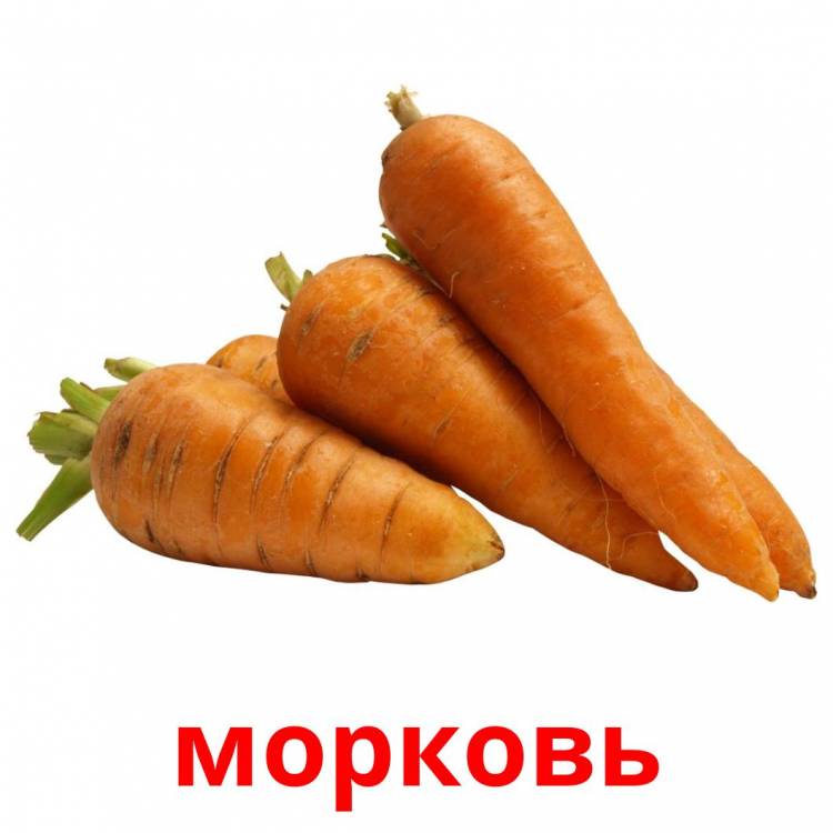 Бесплатных Карточек Овощи на Русском