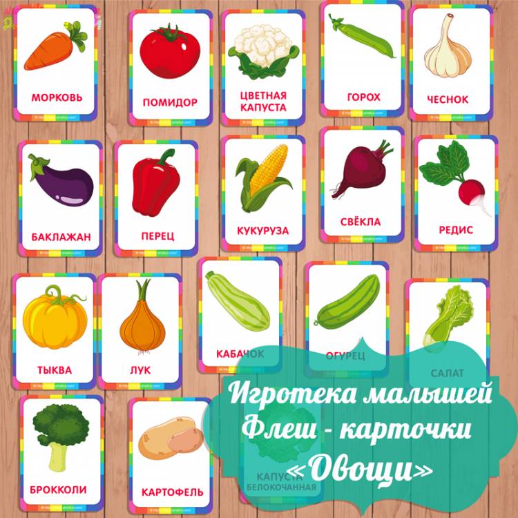 карточки овощи скачать, карточки для малышей, изучаем овощи