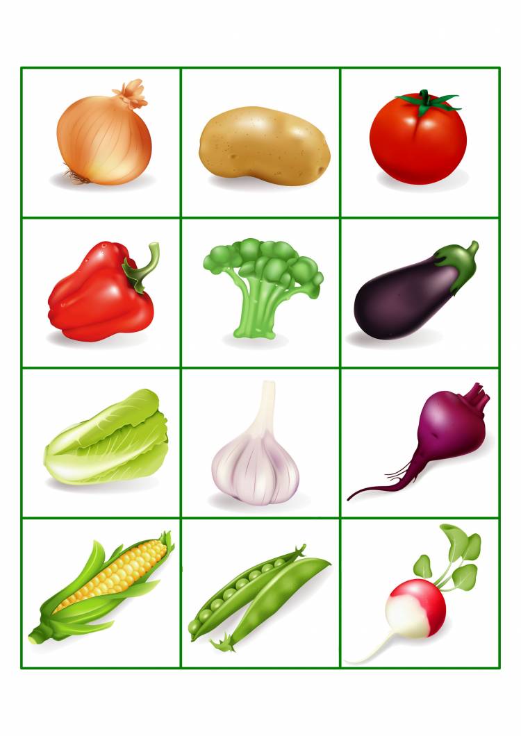 Овощи картинки для детей цветные