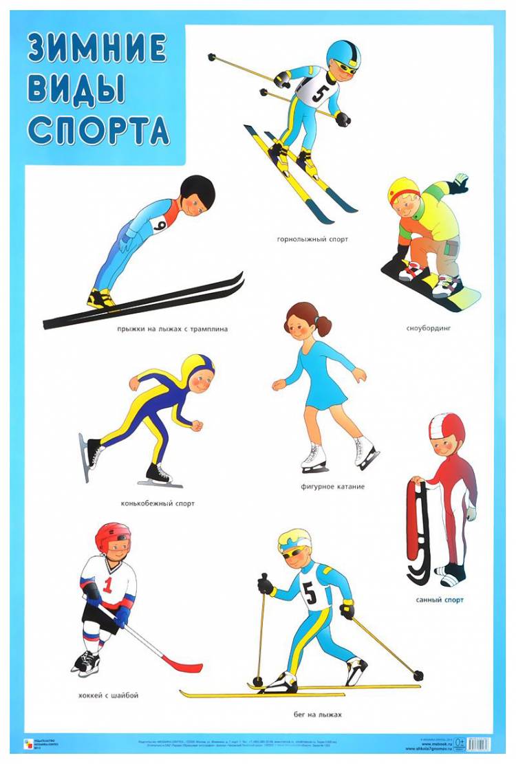 Плакат Зимние Виды Спорта