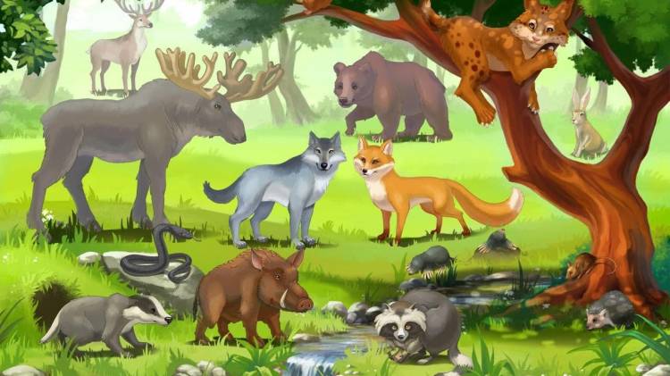 Дикие животные для детей, животные леса, развивающее видео для детей