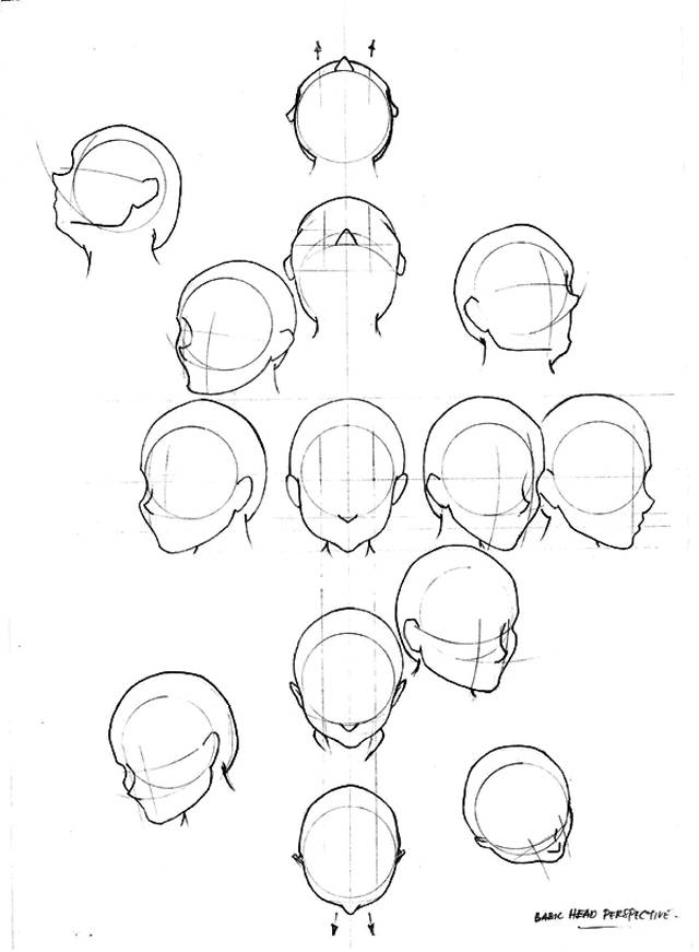 Как правильно нарисовать наклон головы