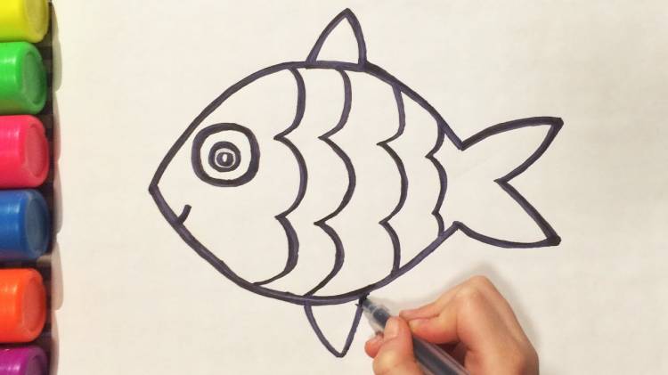 HOW TO DRAW A FISH WITH PENCIL Simple home drawings (Emilia)