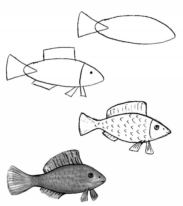 Как нарисовать рыбу поэтапно детям