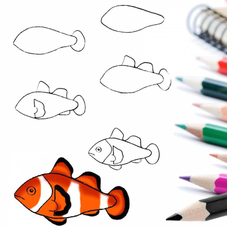 Как нарисовать рыбку поэтапно карандашом