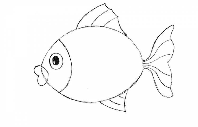 Как нарисовать рыбу для детей
