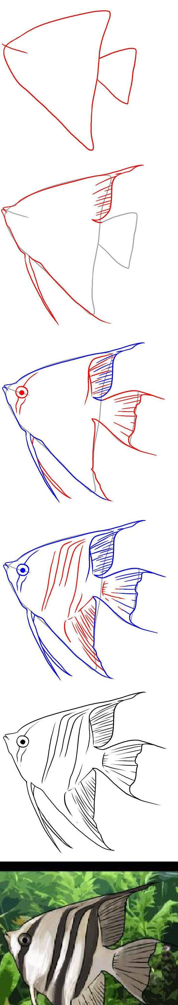 Как нарисовать рыбу урок рисовать рыба пошагово поэтапно рыба-ангел