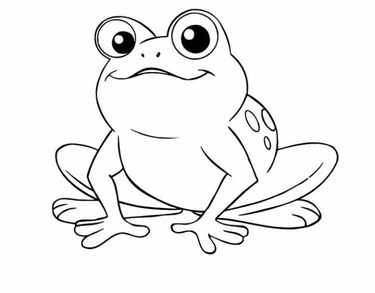 Как нарисовать лягушку поэтапно карандашом 