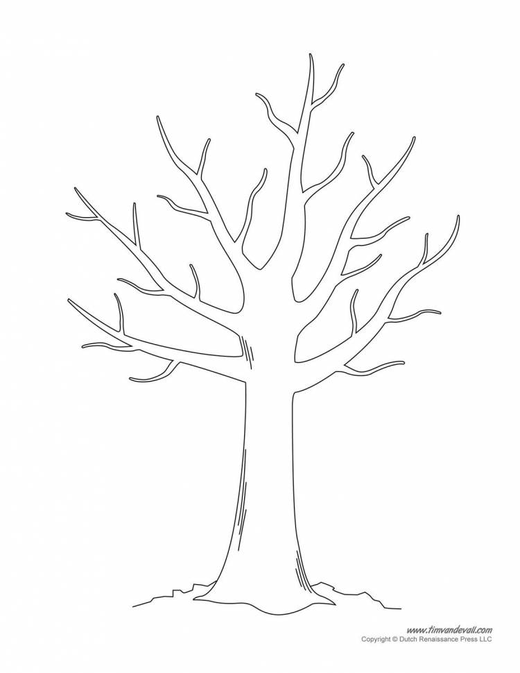 Рисунок дерево раскраска без листьев