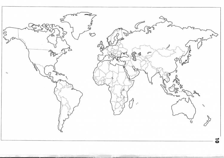 Раскраска контурная карта мира