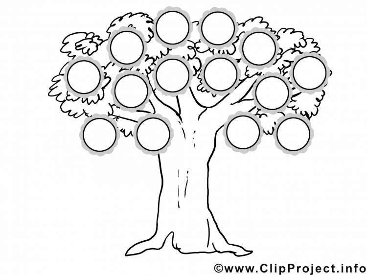 Семейное дерево рисунок шаблон