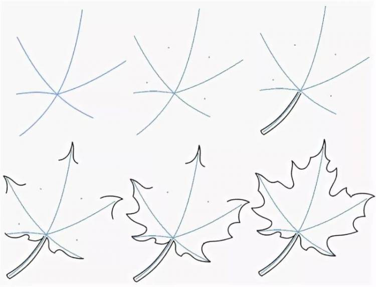 Как нарисовать кленовый лист