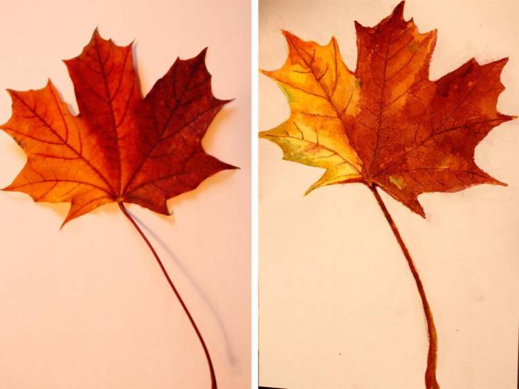 Рисуем с детьми осенние листья акварельными красками (поэтапные фото)