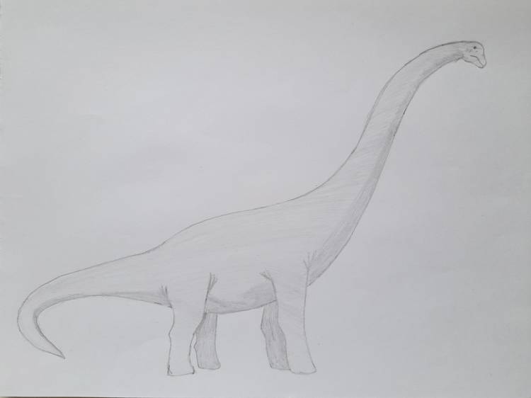 Как нарисовать динозавра простым карандашом