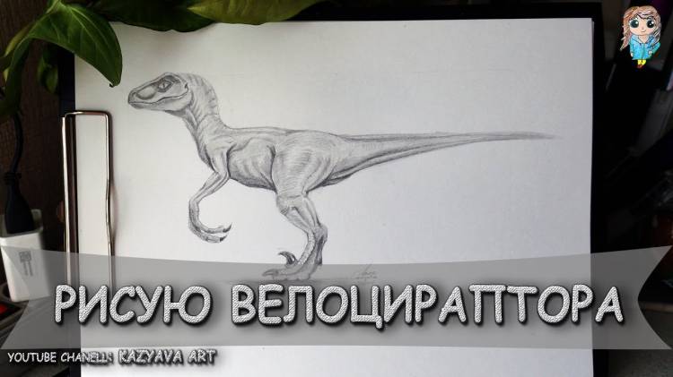 Как нарисовать динозавра Велоцираптор шаг за шагом карандашом