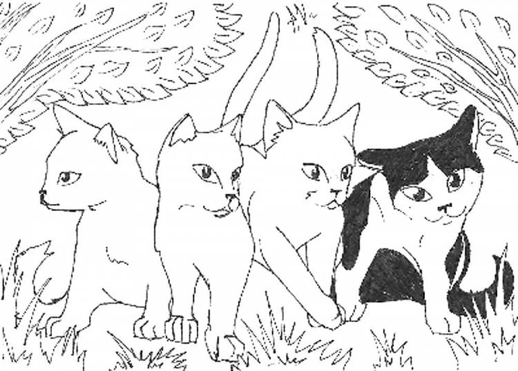 Раскраски аниме Коты воители скачать и распечатать