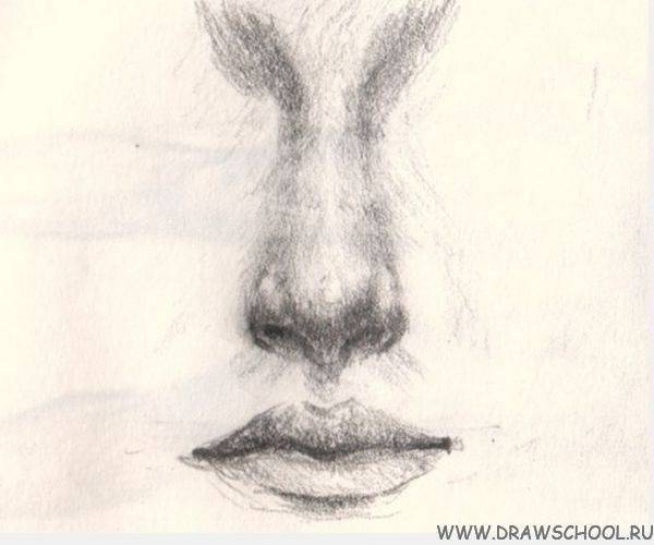 Как нарисовать нос?