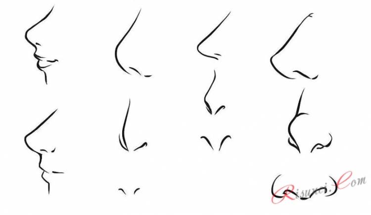 Как нарисовать нос легко