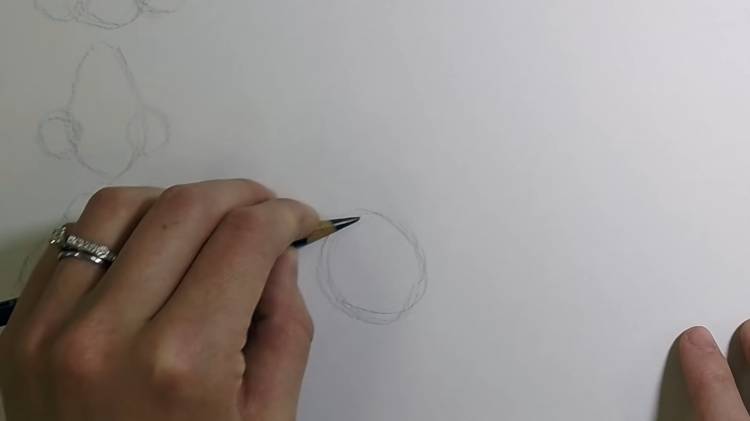 Как нарисовать нос человека
