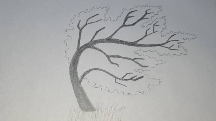 Как нарисовать дерево, гнущееся от ветра, простым карандашом