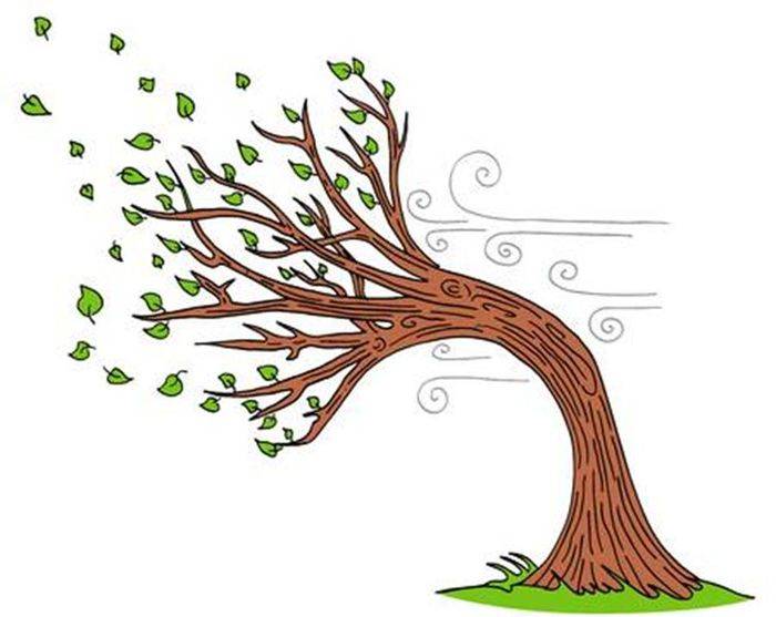 Дерево на ветру рисунок для детей в школу и в садик