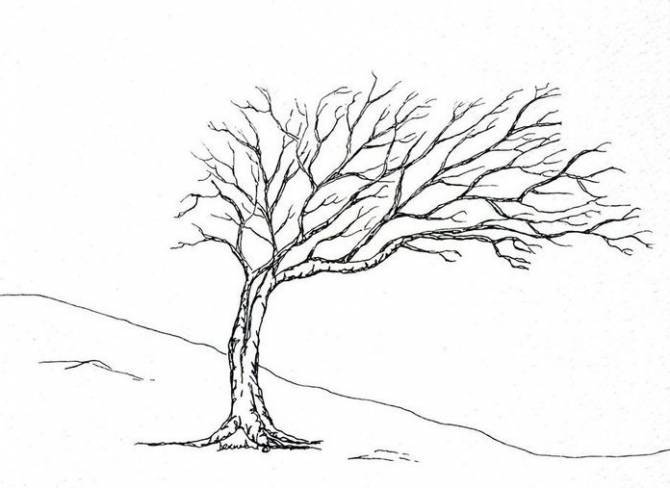 Деревья на ветру в нарисованных картинках 