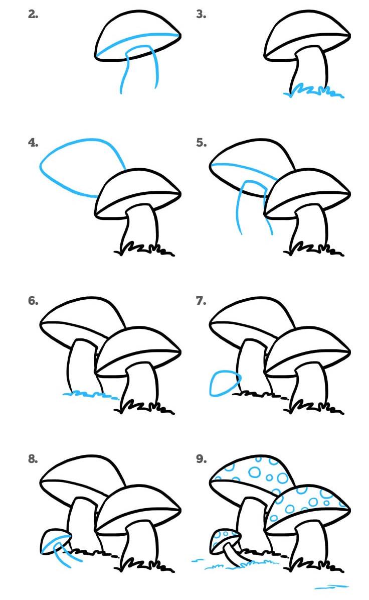 Как нарисовать гриб мухомор поэтапно