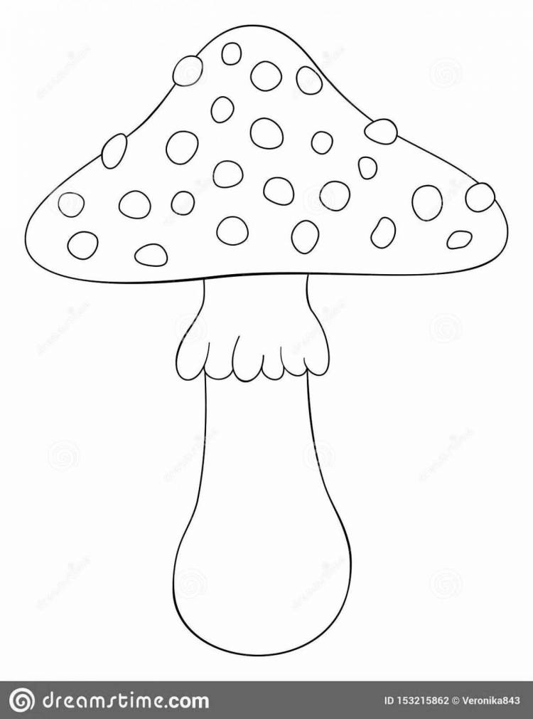 Раскраски Рисунок гриб мухомор 