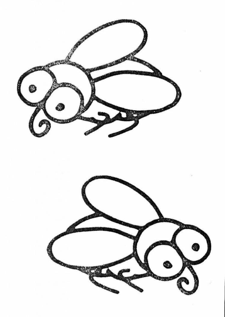 Как нарисовать муху 