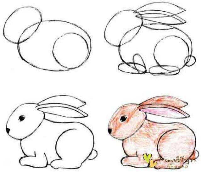 Как нарисовать зайца поэтапно?