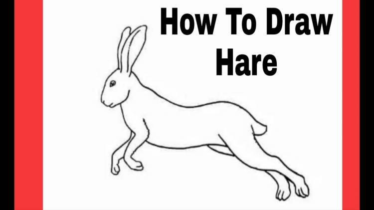 Как быстро и легко нарисовать зайца