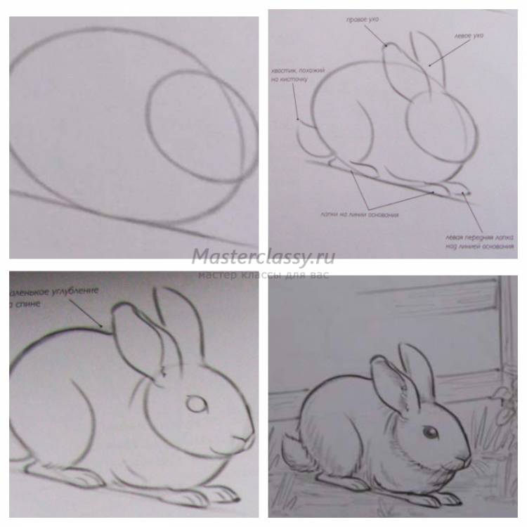 Как легко нарисовать кролика
