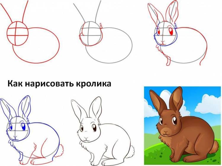 Много способов, как нарисовать кролика