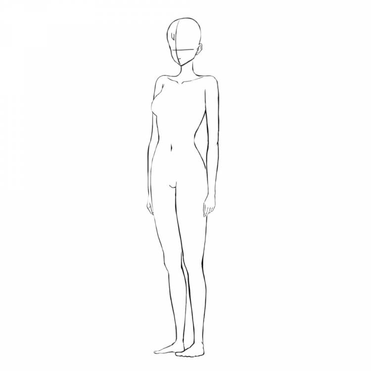 Создать мем эскиз фигуры, шаблон тела, женская фигура
