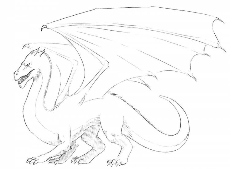 Как нарисовать дракона легко