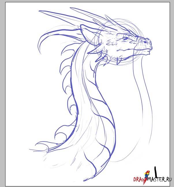 Как научиться рисовать дракона, учимся рисовать голову и шею Дракона
