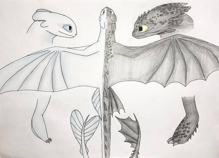 Как нарисовать дракона из как приручить дракона