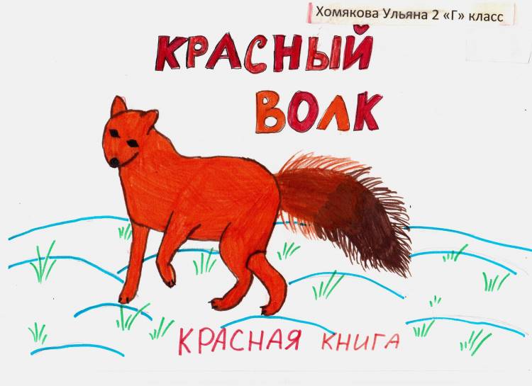 Рисунок для детей животные красной книги для детей 