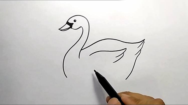 Как нарисовать лебедя за