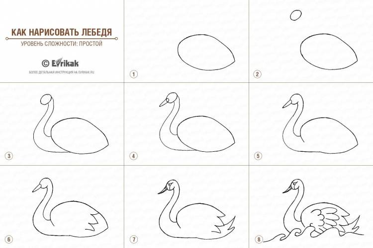 Как нарисовать лебедя 