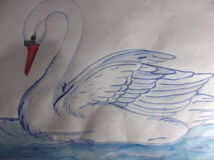 Как нарисовать лебедя поэтапно