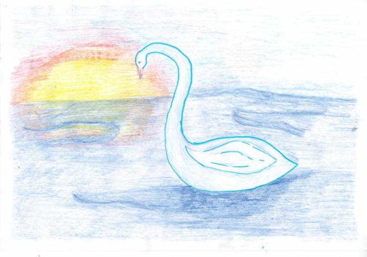 Как нарисовать лебедя поэтапно карандашом 