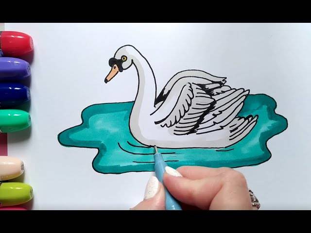 Как поэтапно нарисовать лебедя для детей