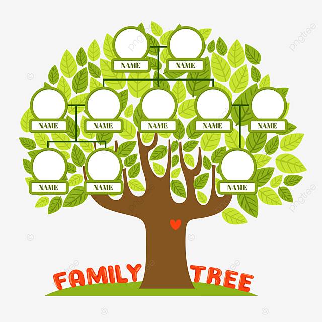 рисованной зеленый генеалогическое дерево семейные отношения листья PNG , семейное дерево, дерево, отношения PNG картинки и пнг PSD рисунок для бесплатной загрузки
